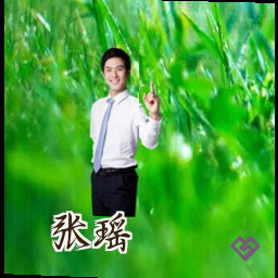 张瑶
